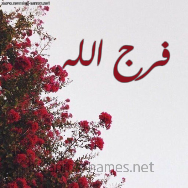 شكل 18 صوره الورد الأحمر للإسم بخط رقعة صورة اسم فرج الله FARAJ-ALLAH